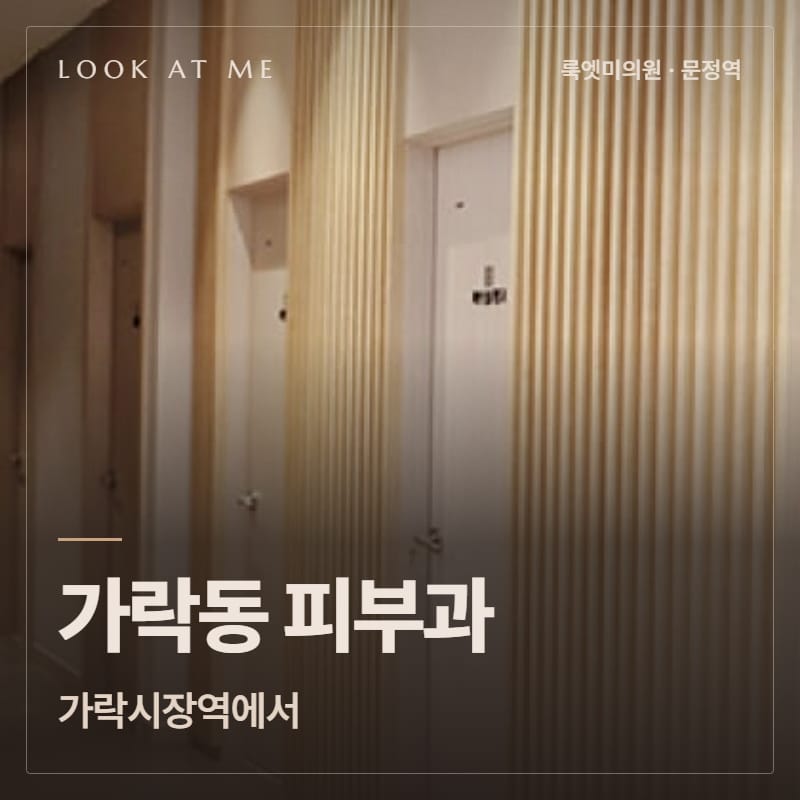 가락동 피부과, 가락시장역에서