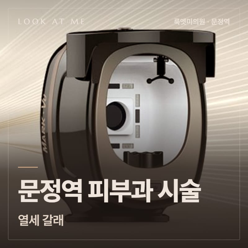 문정역 피부과 시술, 열세 갈래