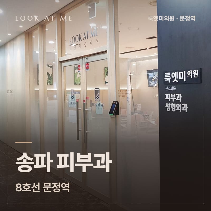 송파 피부과, 8호선 문정역