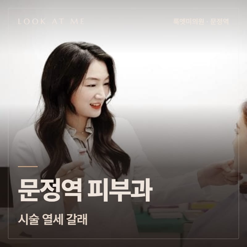 문정역 피부과 시술 열세 갈래
