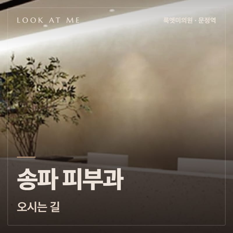 송파 피부과 오시는 길