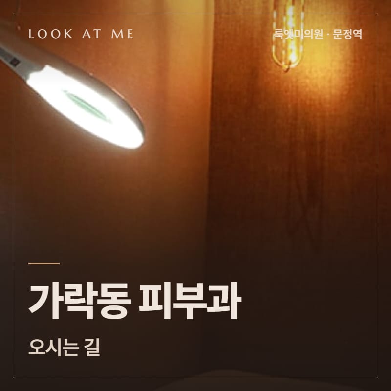 가락동 피부과 오시는 길