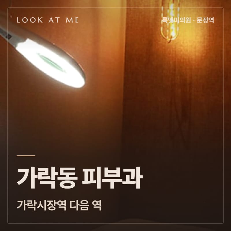 가락동 피부과, 가락시장역 다음 역